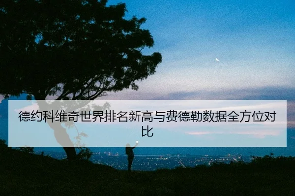 de-yue-ke-wei-qi-shi-jie-pai-ming-xin-gao-yu-fei-de-lei-shu-ju-quan-fang-wei-dui-bi-2-871.jpg